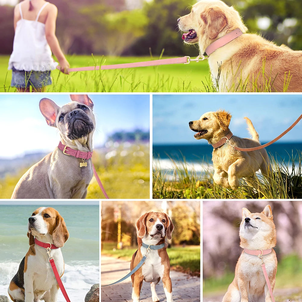 Blue soft padded dog collar with leash – comfortable fit