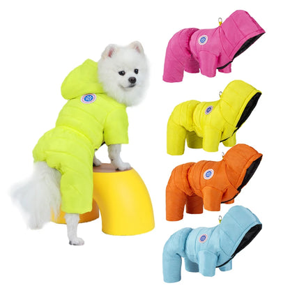 Small dog wearing waterproof hooded dog coat in blue