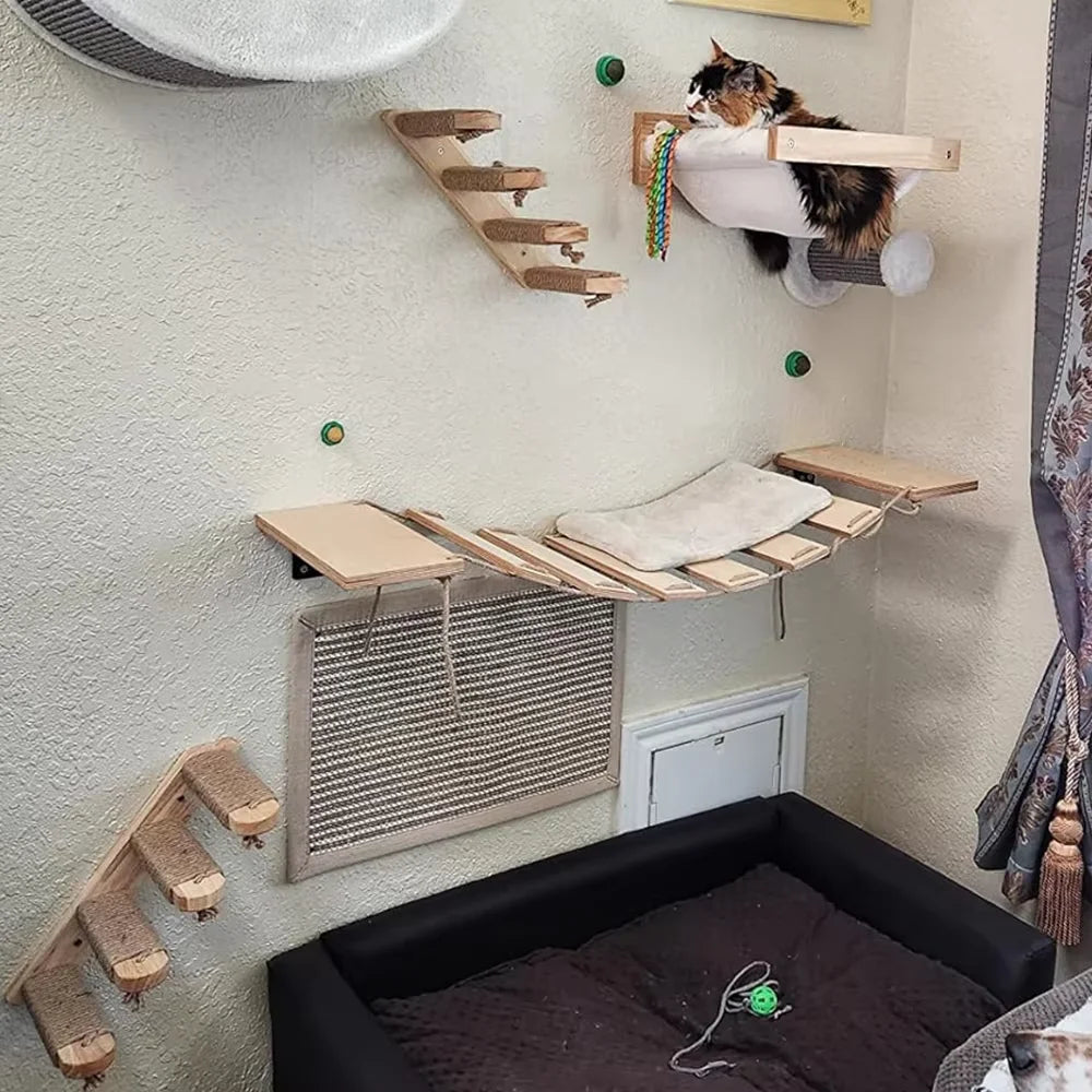 Cat jumping on solid wood wall shelves – climbing and resting platform