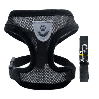 Pet Harness & Leash Set – Adjustable for Cats & Dogs