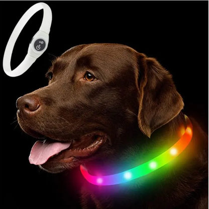 LED Dog Collar – Rechargeable Waterproof Light-Up