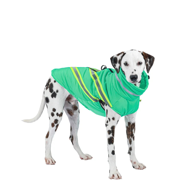 Winter Waterproof Dog Jacket – Warm Reflective Coat for Small & Large Dogs