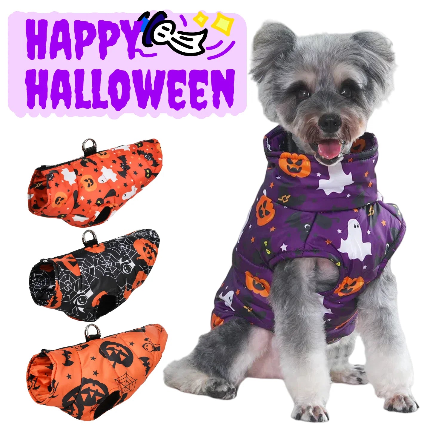 Small dog wearing Halloween print winter coat