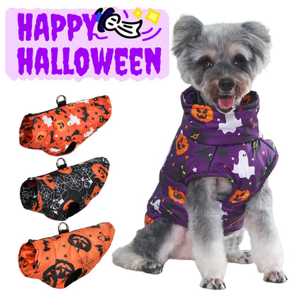 Small dog wearing Halloween print winter coat