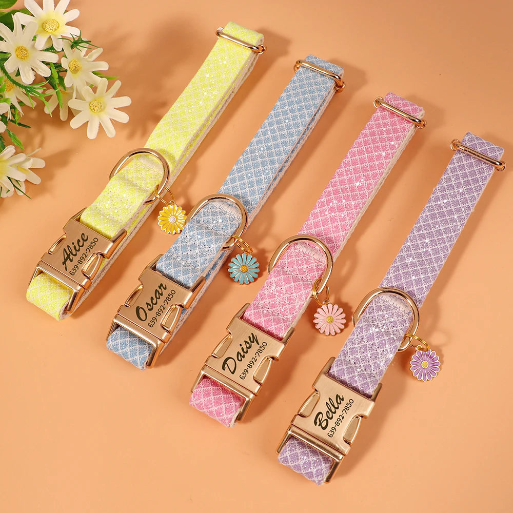 Multiple color personalized nylon collars with engraved tags