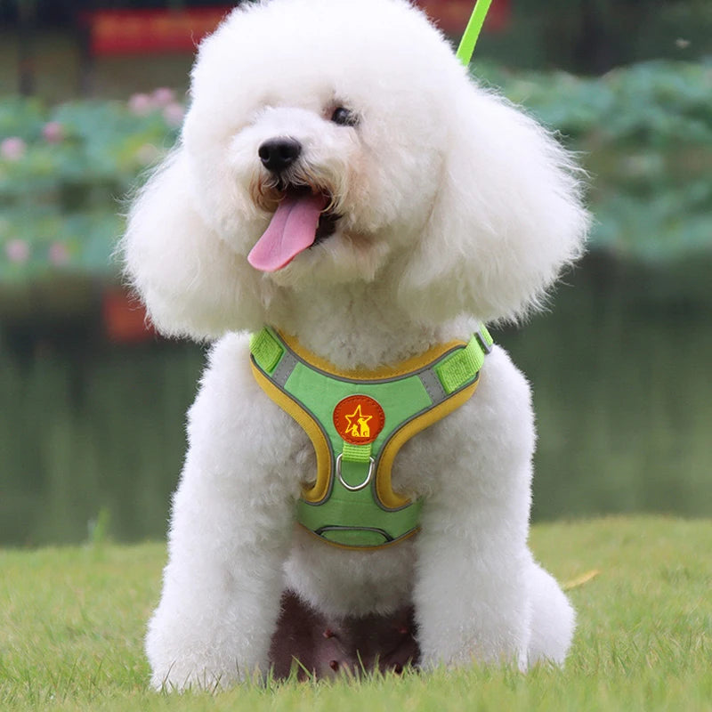 Green dog harness and leash set for small pets
