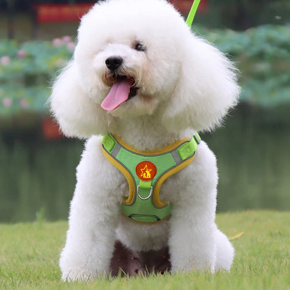 Green dog harness and leash set for small pets