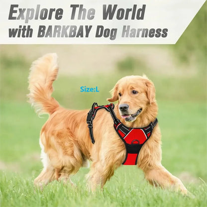 Size options of strong dog harness from S to XL