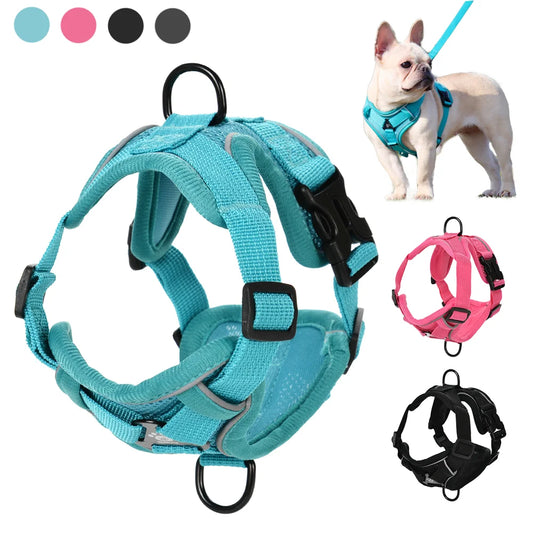 Breathable dog harness and leash set in turquoise color