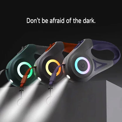 Dog leash with built-in LED light
