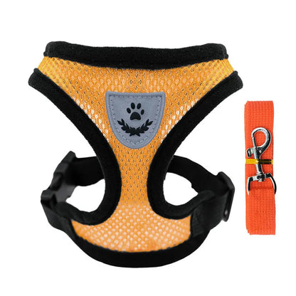 Pet Harness & Leash Set – Adjustable for Cats & Dogs