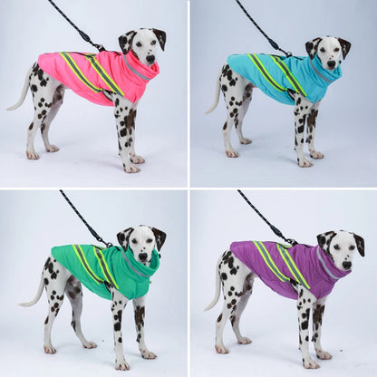 Pink winter dog jacket with adjustable straps