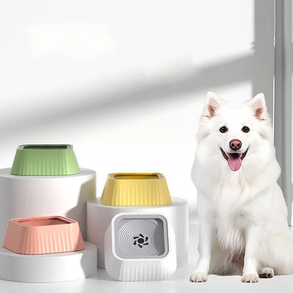 White dog next to anti-spill filtered pet water bowl
