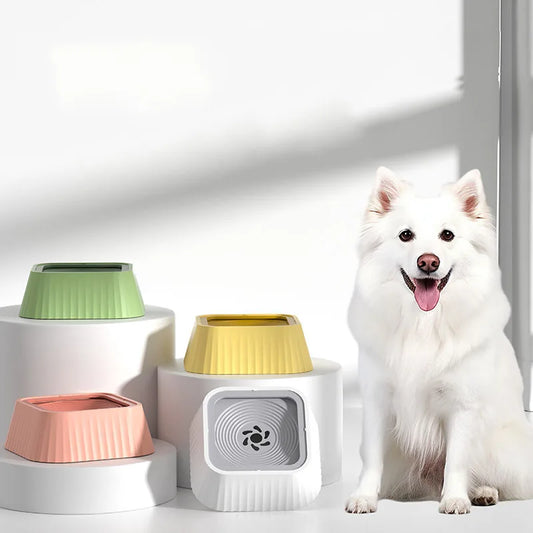 White dog next to anti-spill filtered pet water bowl