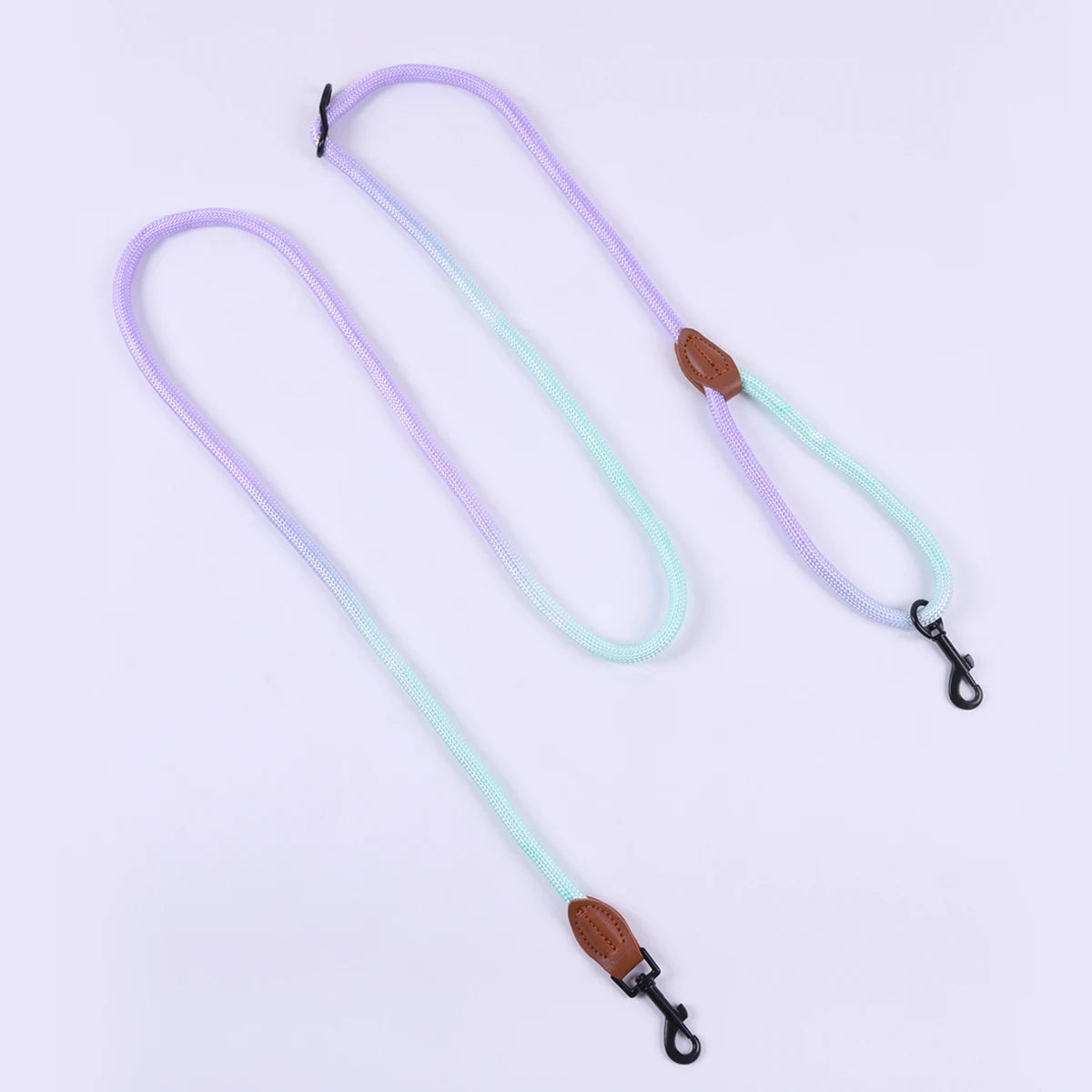 Colorful Gradient Dog Leash – Durable Nylon, Lightweight