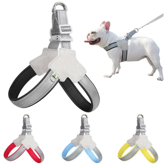 French Bulldog wearing reflective no-pull harness