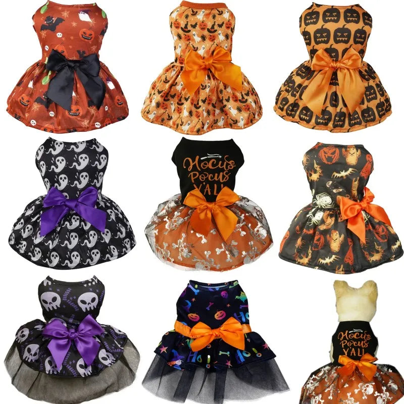 Small dog wearing pumpkin print Halloween dress costume