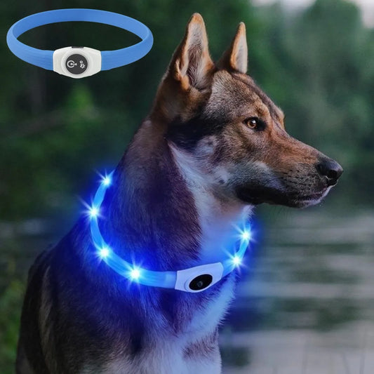 LED dog collar rechargeable waterproof