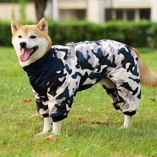 Dog wearing camo winter waterproof jacket with cotton padding