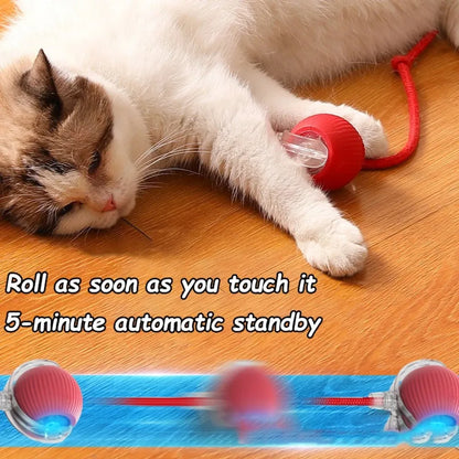 Rechargeable Smart Cat Ball Toy – Interactive Automatic Rolling Ball with Faux Tail, USB Type-C Charging, Anti-Obstacle Design for Dogs & Cats
