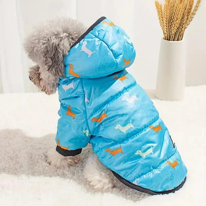 Cat in grey winter pet coat with hood