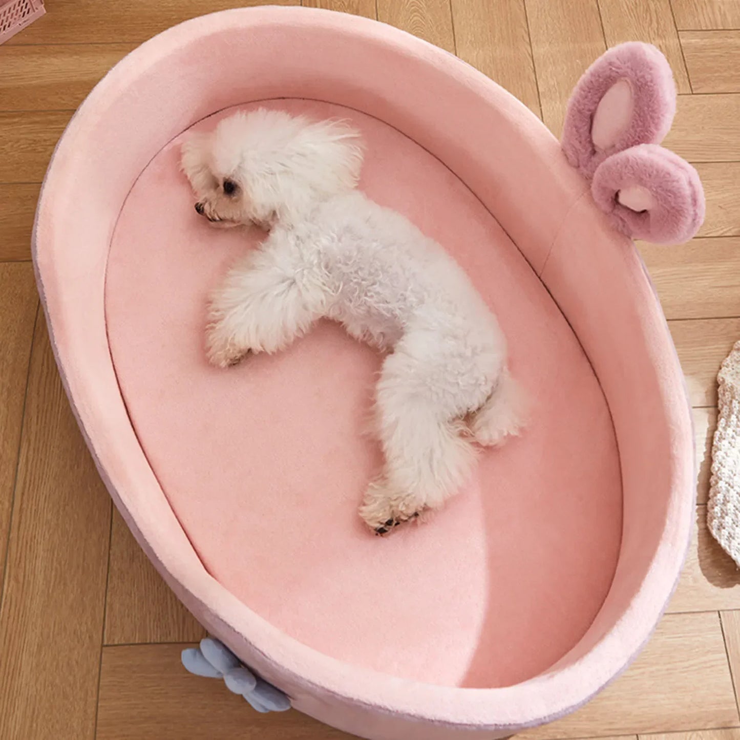 Pet sleeping comfortably in plush bed – close-up