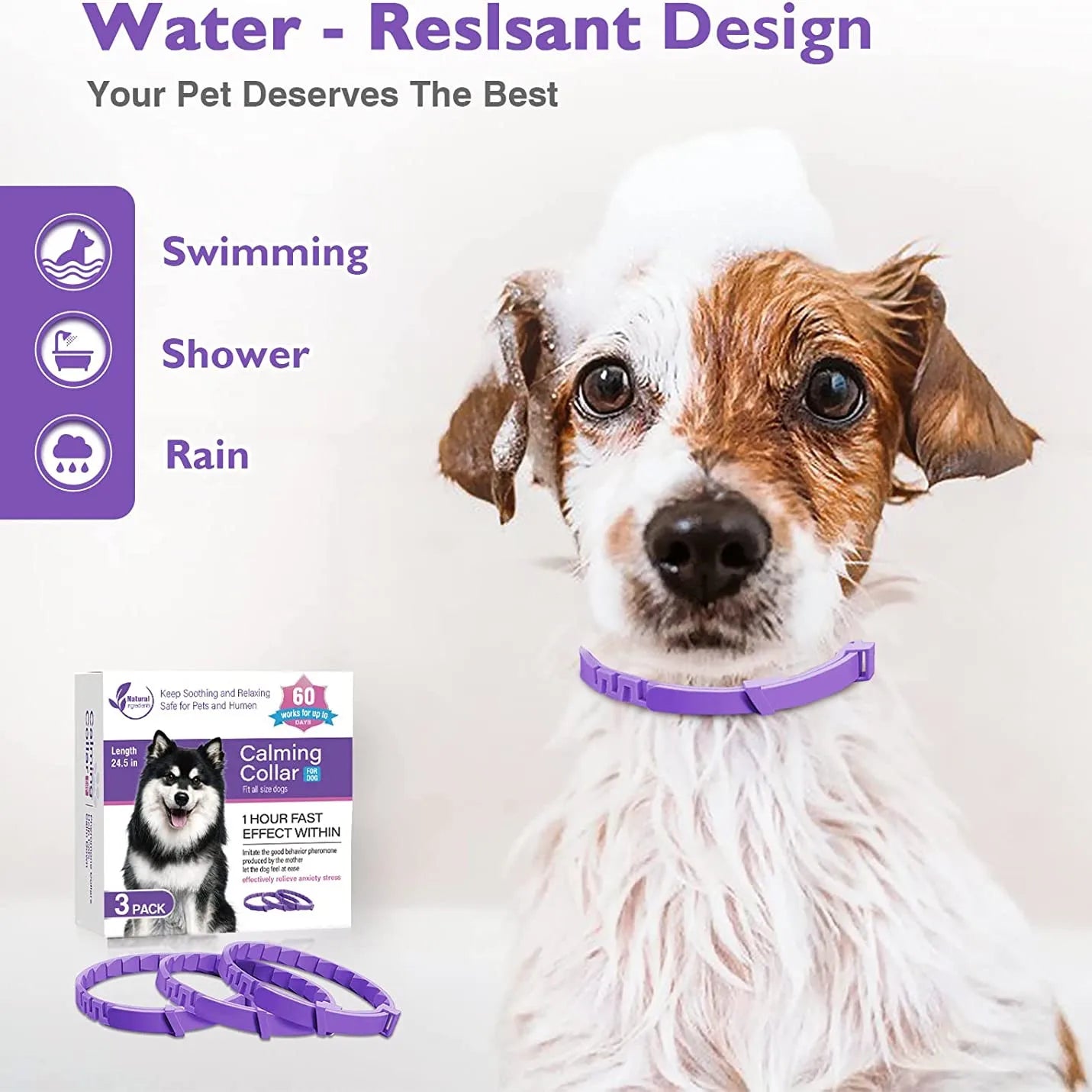 Purple adjustable anti-anxiety collar for cats