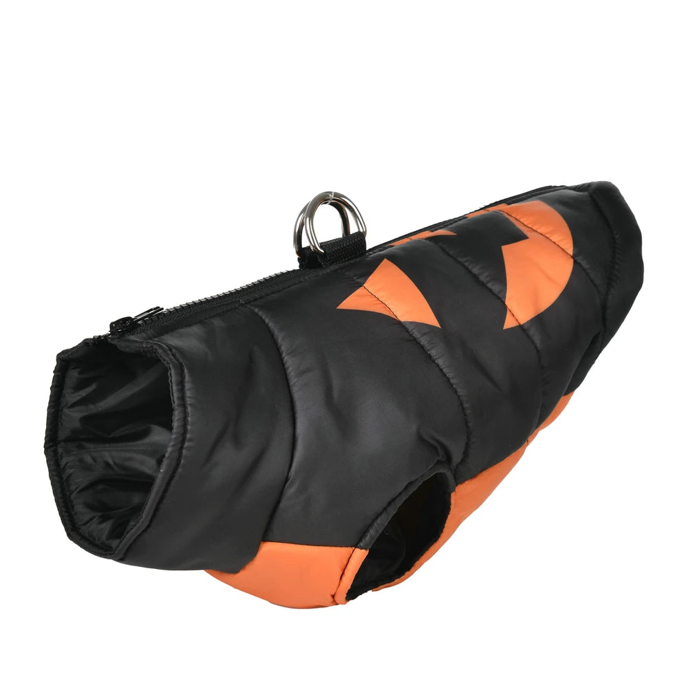 Dog in Halloween printed jacket for autumn walks
