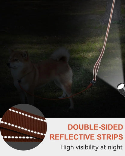 Nylon Slip Lead Dog Leash – Training & Walking