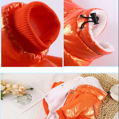 Medium dog wearing warm padded jacket outdoors