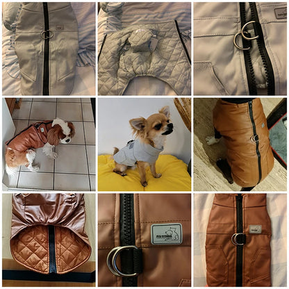 Brown winter jacket for medium and large dogs
