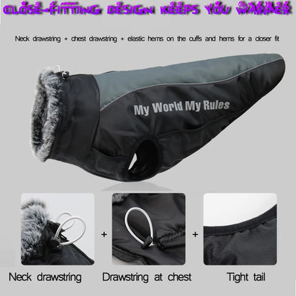 Durable dog coat with harness design for winter walks