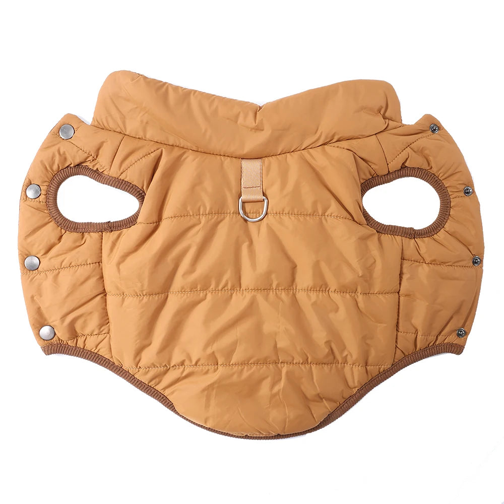 Golden dog wearing brown winter jacket