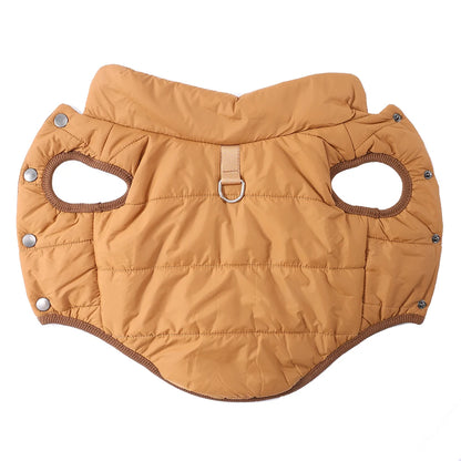 Golden dog wearing brown winter jacket