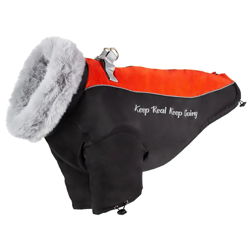 Winter Dog Jacket with Fur Collar – Waterproof Warm Coat