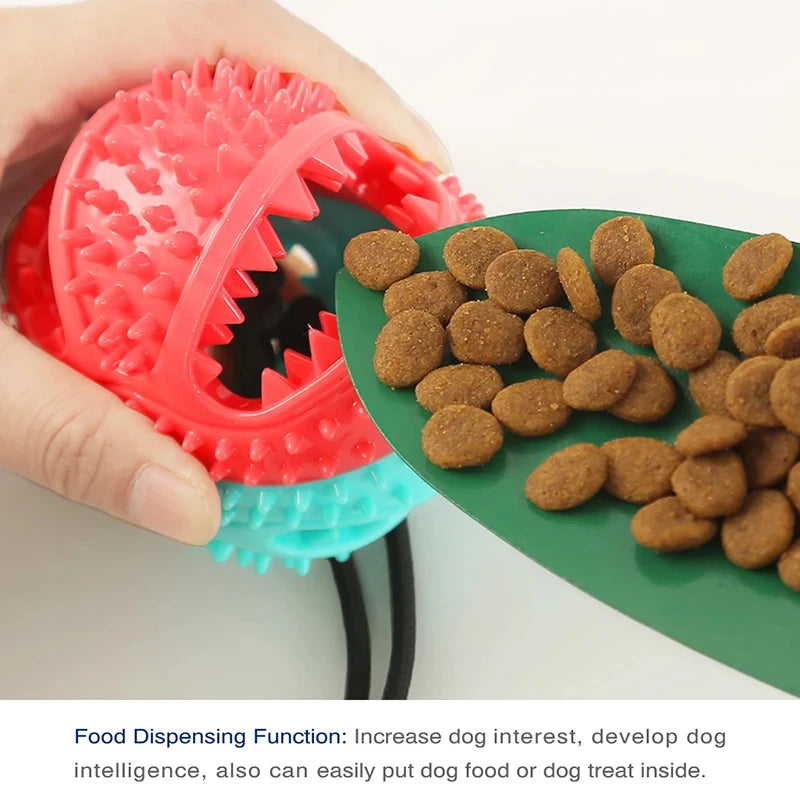 Interactive Dog Toy with Suction Cup & Chew Ball