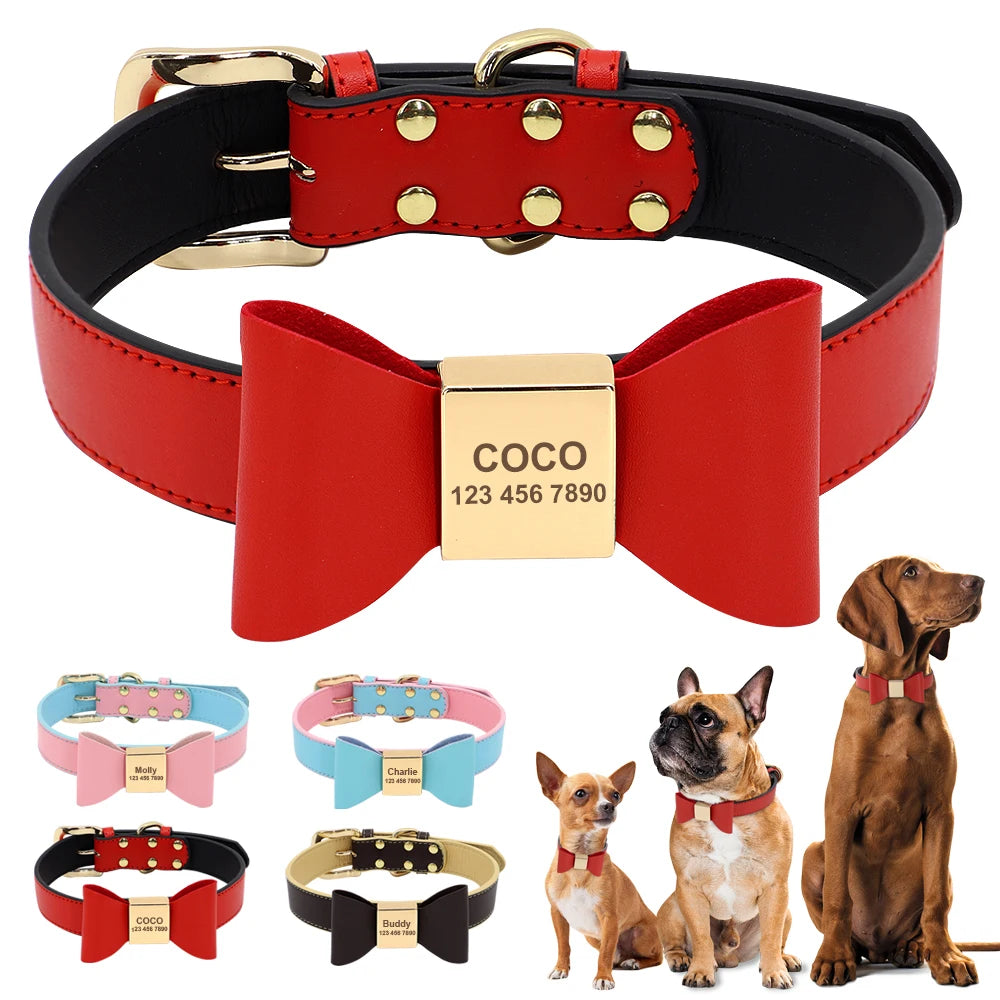 
Red personalized dog collar with engraved gold name tag and bow design
