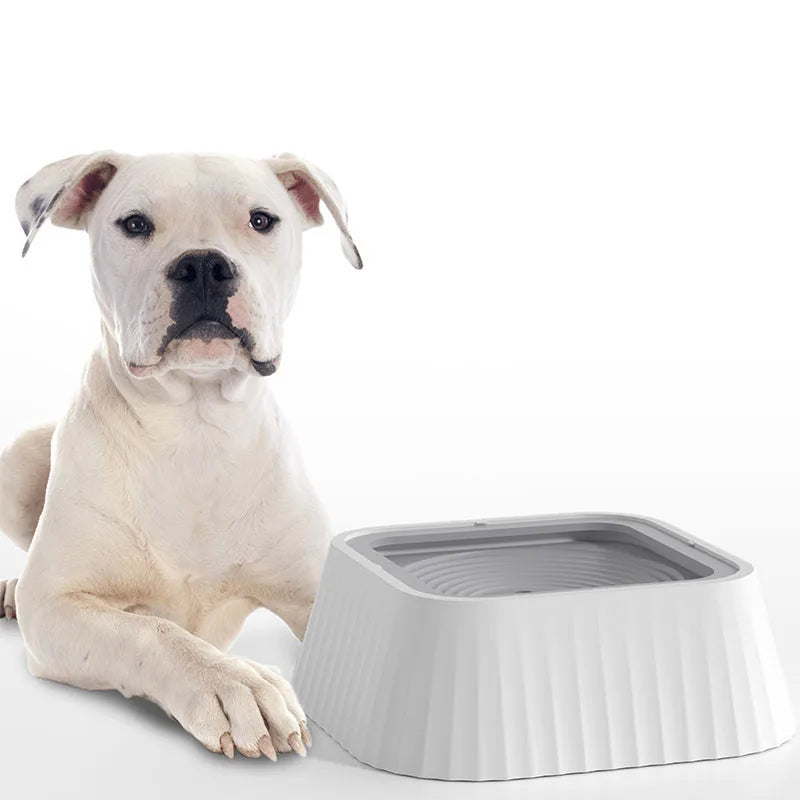 Dogs drinking from anti-spill floating design water bowl