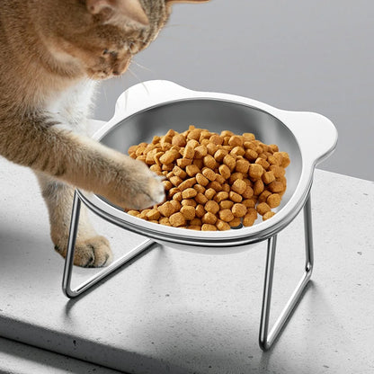 Side view of pet feeding station with tilted rim