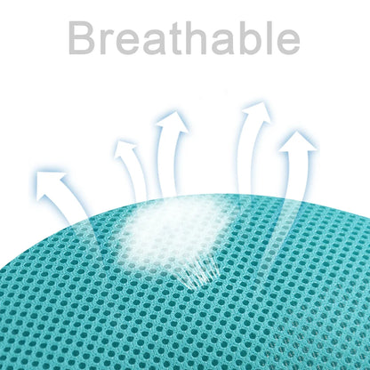 Small dog wearing reflective no-pull harness with leash