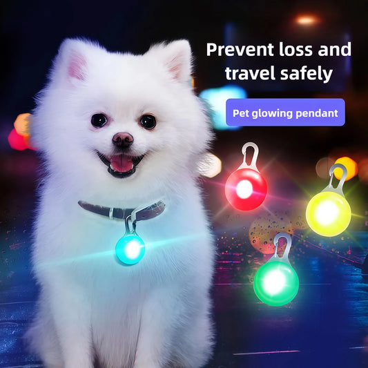 Dog wearing LED collar pendant glowing in the dark
