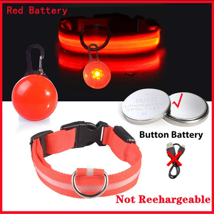 USB Rechargeable LED Dog Collar – Night Safety