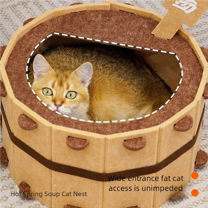 Kitten playing inside cozy felt cat house