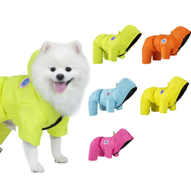 Small dog wearing yellow winter down jacket with four-leg design