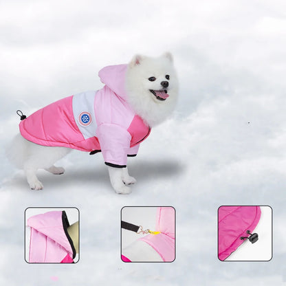 Winter Dog Jacket – Waterproof Cotton Coat for Small Dogs | Warm Pet Outfit for Chihuahua, Bulldog, Poodle, Maltese