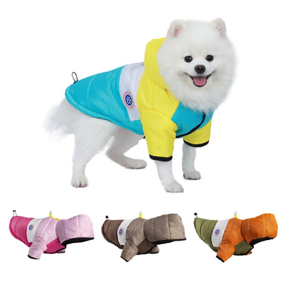 Small dog wearing blue fleece winter onesie coat