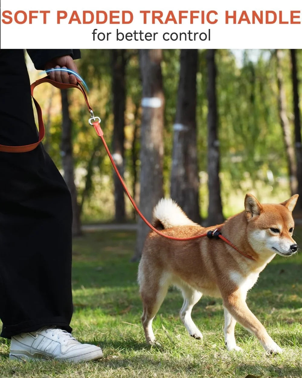 Nylon Slip Lead Dog Leash – Training & Walking