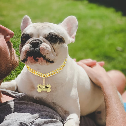 Custom Cuban Link Dog Collar – Gold Chain with ID Engraving