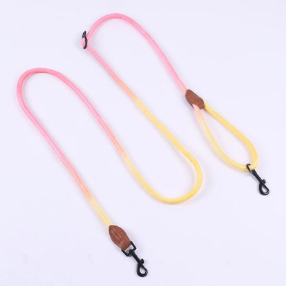 Colorful Gradient Dog Leash – Durable Nylon, Lightweight