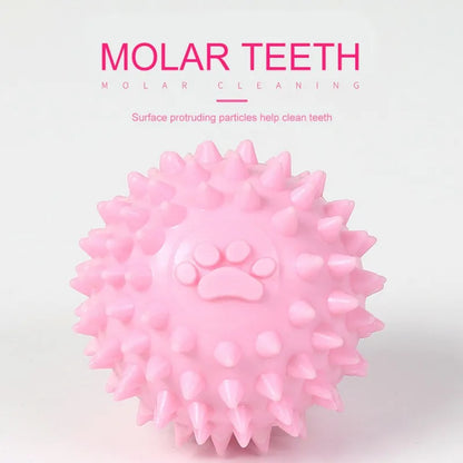 Dog Molar Chew Ball – Durable Spiky Rubber Ball for Pets, Tooth Cleaning Toy for Small & Large Dogs, Colorful Paw Design